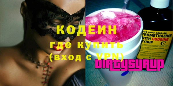 шишки Пестово